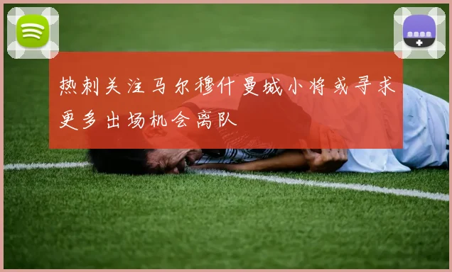 热刺关注马尔穆什曼城小将或寻求更多出场机会离队